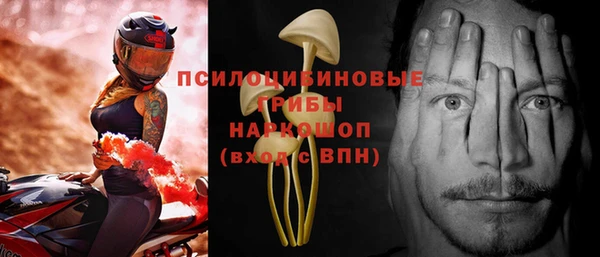 гидра Касимов