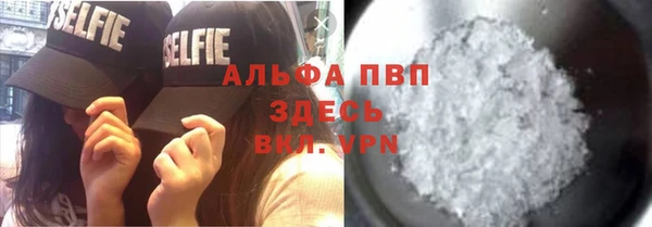 гидра Касимов