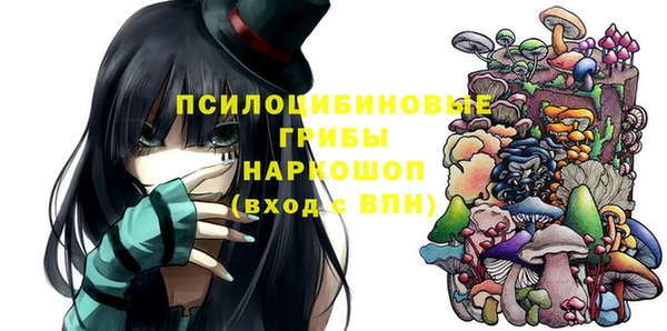 гидра Касимов