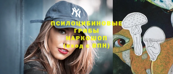 спиды Карталы