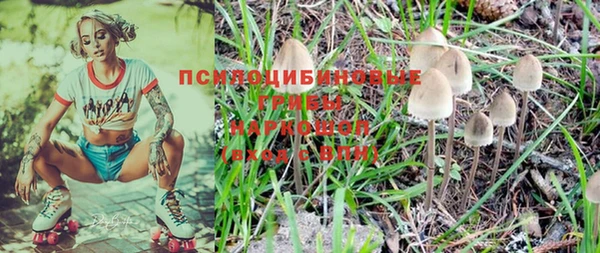 гидра Касимов