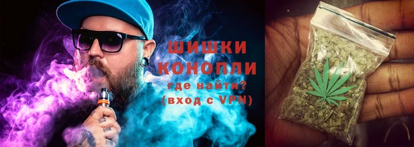 гидра Касимов