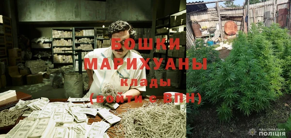 гидра Касимов