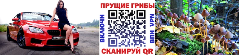 Псилоцибиновые грибы MAGIC MUSHROOMS  Городище 